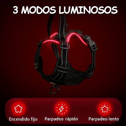 Arnés con Luz LED - Guardian Light