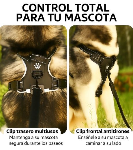 Arnés con Luz LED - Guardian Light