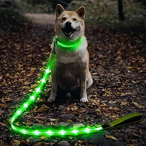 LumiPet - Correa para Paseos Nocturnos