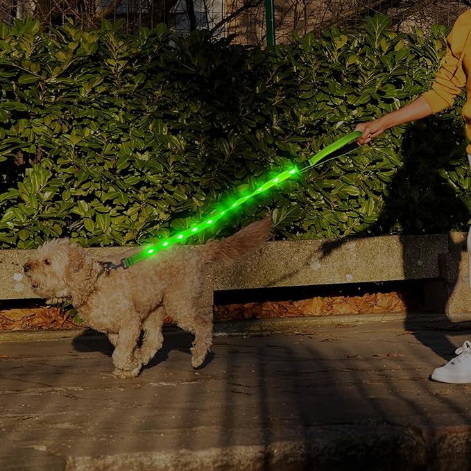LumiPet - Correa para Paseos Nocturnos