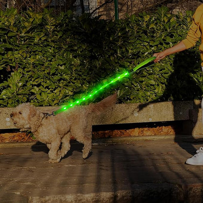 LumiPet - Correa para Paseos Nocturnos